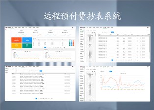 遠(yuǎn)程預(yù)付費(fèi)抄表系統(tǒng)的原理是什么呢？—老王說(shuō)表